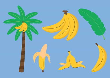 Banana Tree