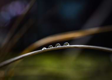 Droplets