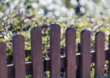 detail of wooden fence