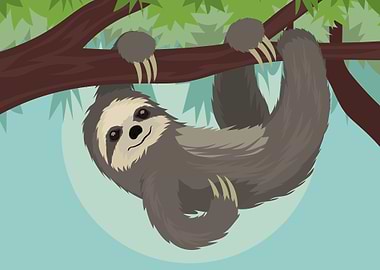 Sloth cute