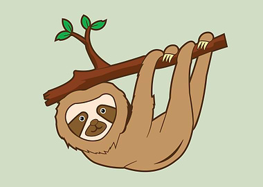 Sloth cute