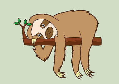 Sloth cute