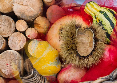 tree trunk and curly