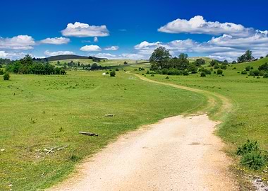 Path through the Urbasa