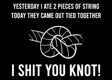Shit You Knot Pun Lover Gi