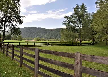 The Blue Ridge Mountains