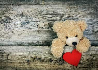 Teddy love