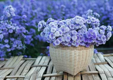Flower basket
