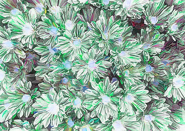 abstract daisy in bloom