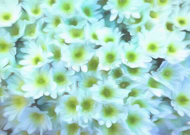 abstract daisy in bloom