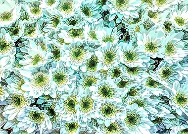 abstract daisy in bloom