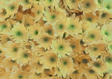 abstract daisy in bloom