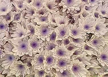 abstract daisy in bloom