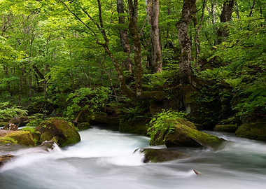 歐拉塞溪的春天