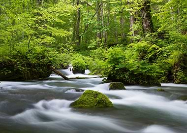 歐拉塞溪的春天