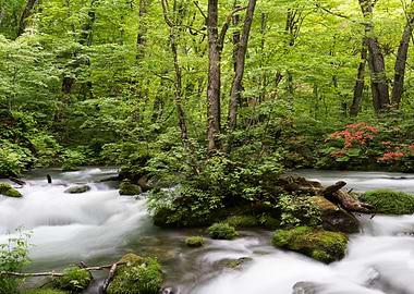 歐拉塞溪的春天