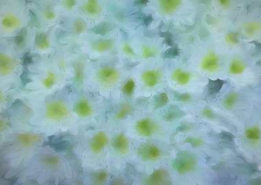 abstract daisy in bloom