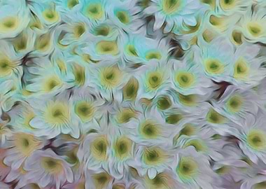 abstract daisy in bloom