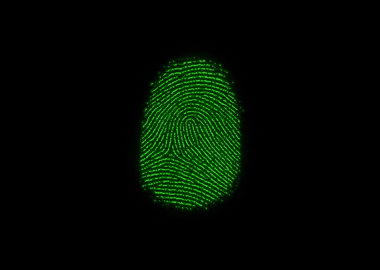 Fingerprints flash scan te