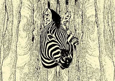 Zebra portrait