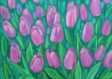 Tulips Field Spring Flower