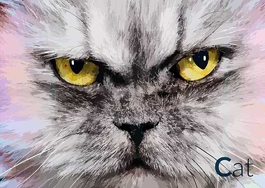 cat angry