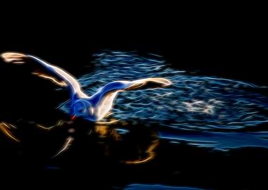 seagull flying on lake