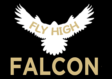 Falconry Falcon Falconer