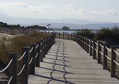 The Path to the Beach