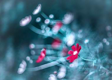 Summer meadow,pink flowers