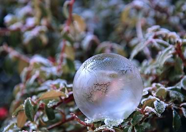 Bubble on rough terrain