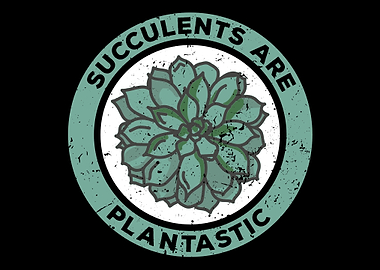 Succulents Plant Lover