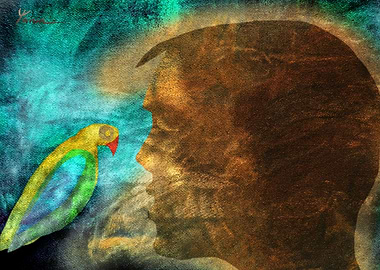 Learning from Animals