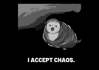 Accept Chaos Animal Rights