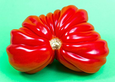 Odd tomato