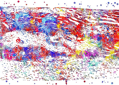 Section of cerebral cortex