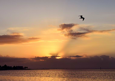 Sunrise over the Ocean