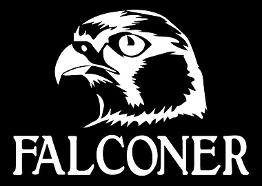 Falconry Falcon Falconer