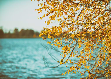 Autumn sunset, lake, trees