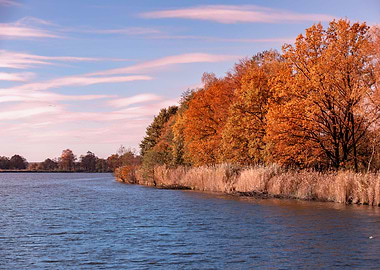 Autumn sunset, lake, trees