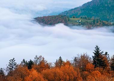 Autumn mountain landscape