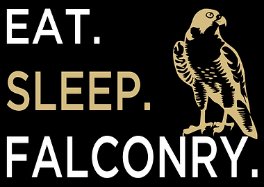 Falconry Falcon Falconer