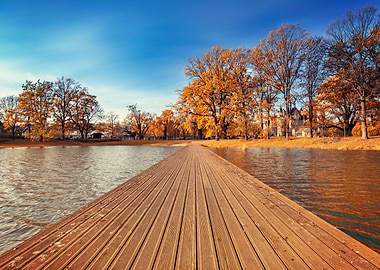 Autumn lake,trees, leaves