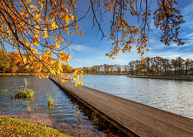 Autumn lake,trees, leaves