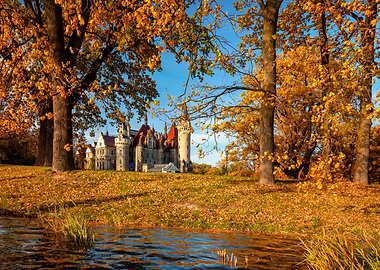 Autumn landscape in park
