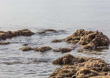 rocks and reefs