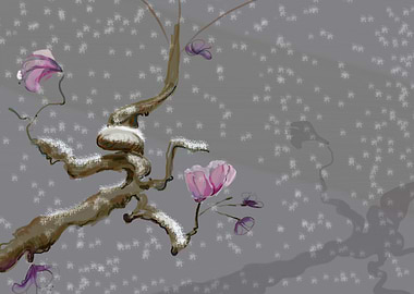 Blossom in the Snow
