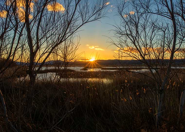 Sunset Natural Parks