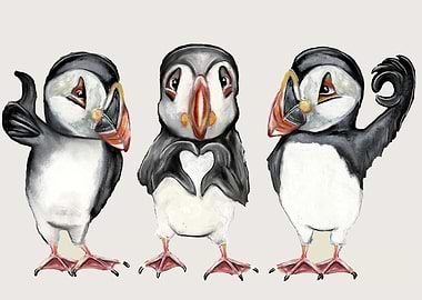 Cool Puffins