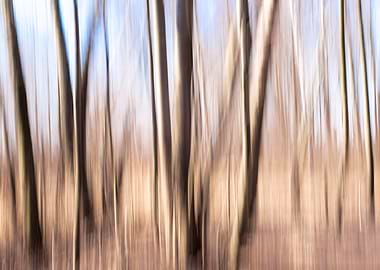 Abstract panning wood tree